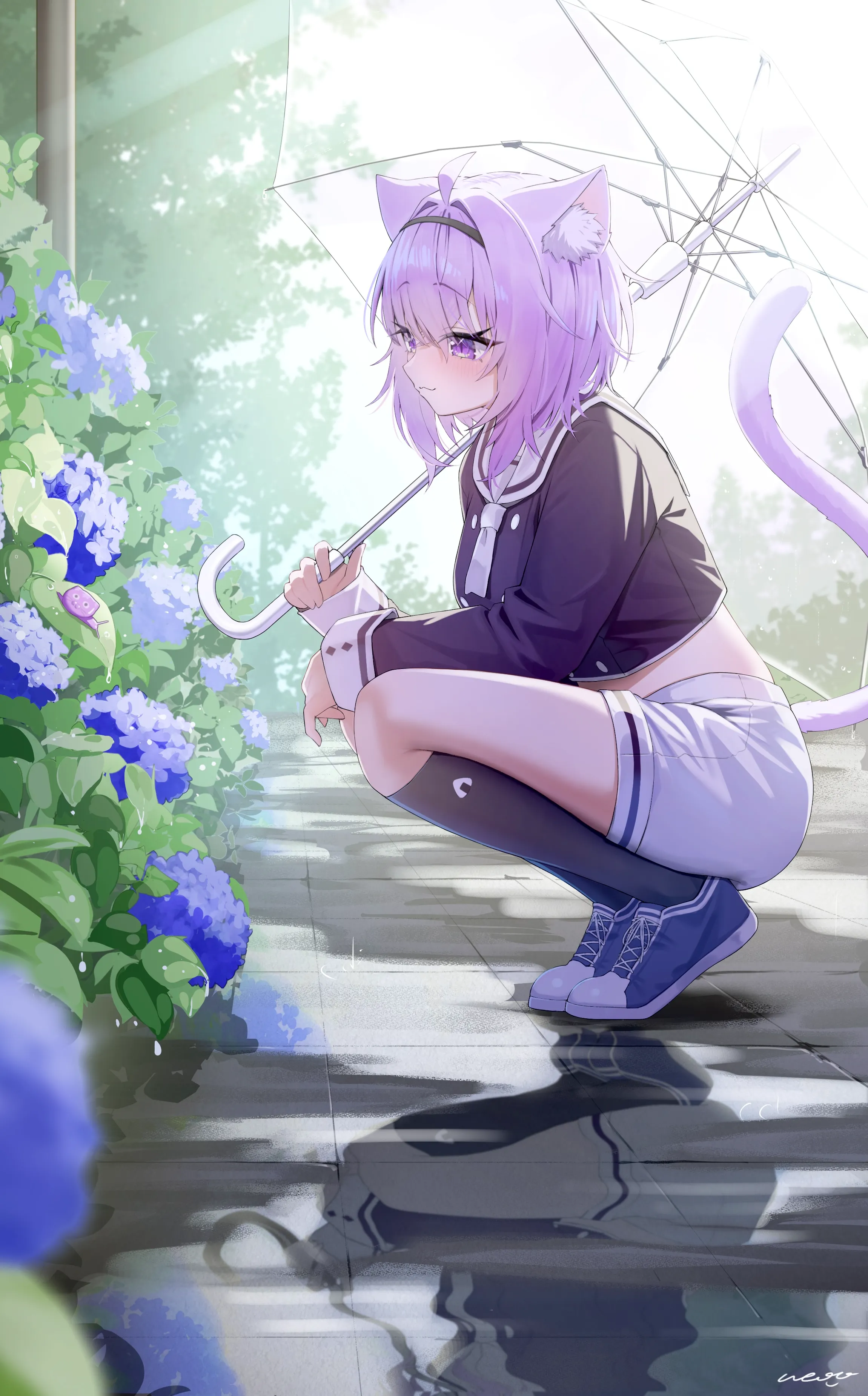 随机图片预览